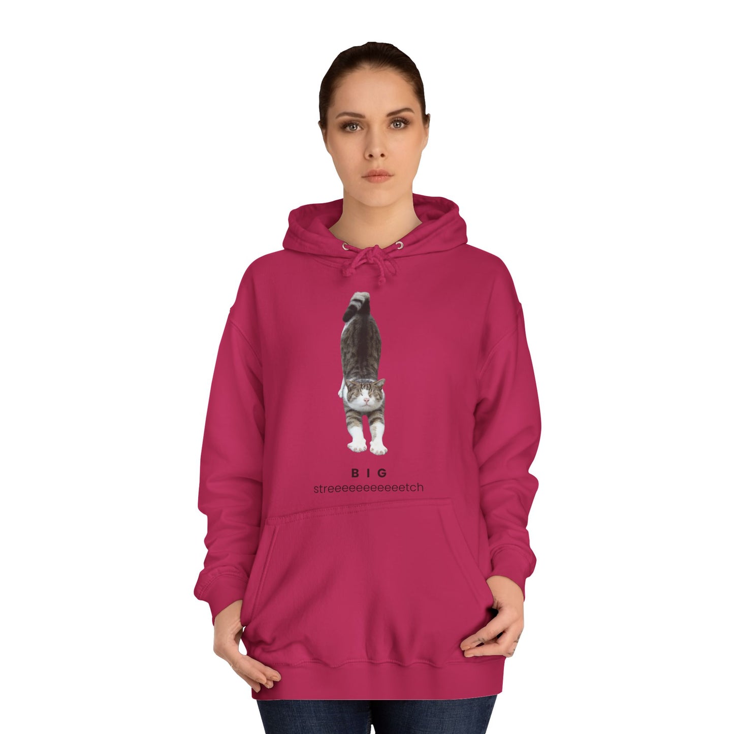 Big Stretch Cat Hoodie