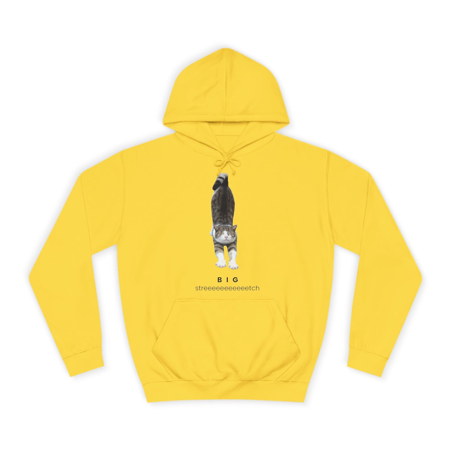 Big Stretch Cat Hoodie