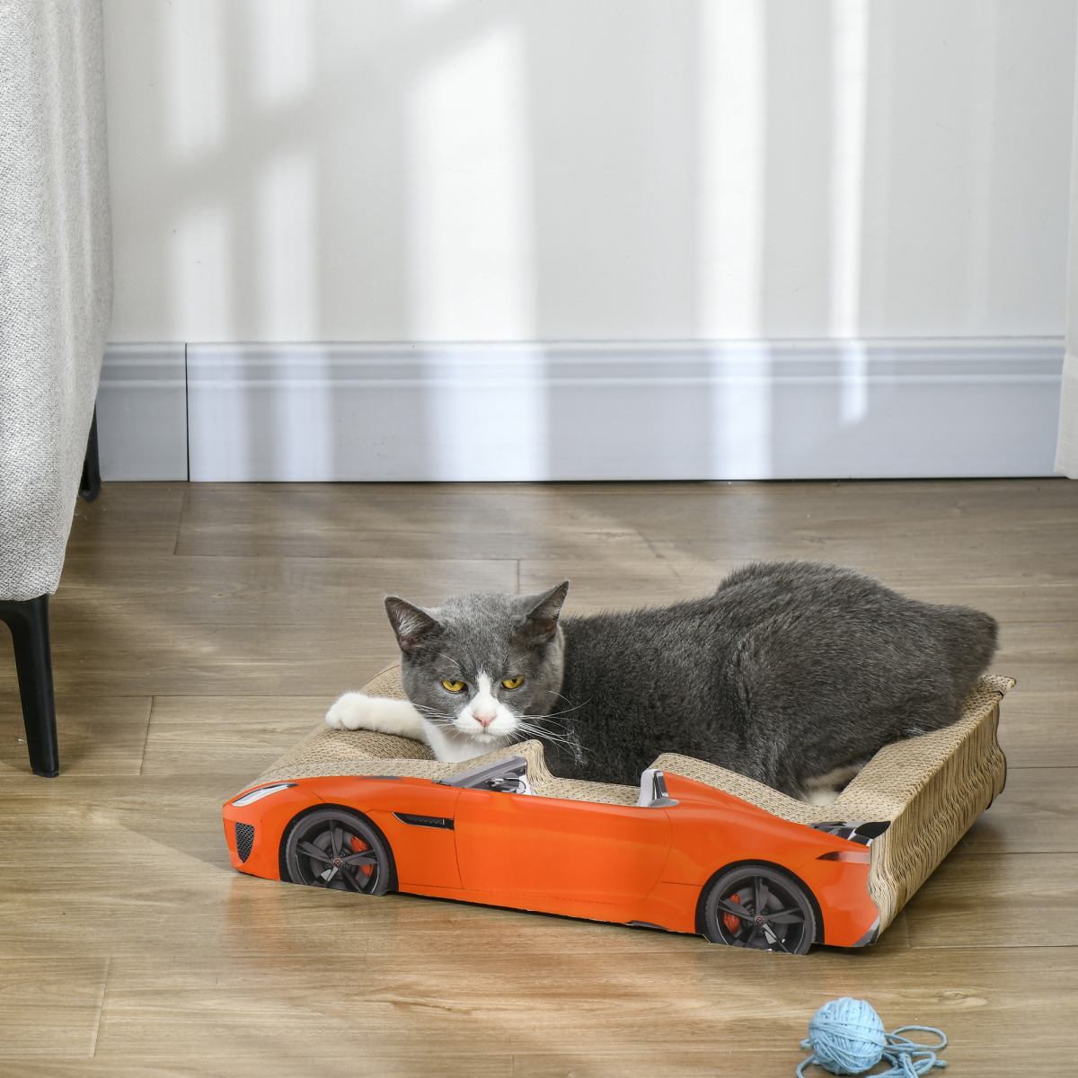 Cat Scratcher Race Car