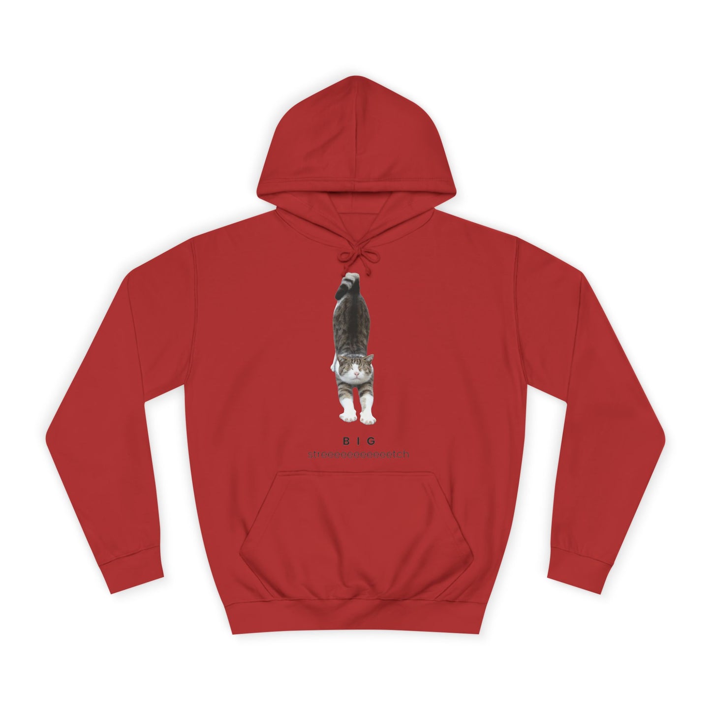 Big Stretch Cat Hoodie