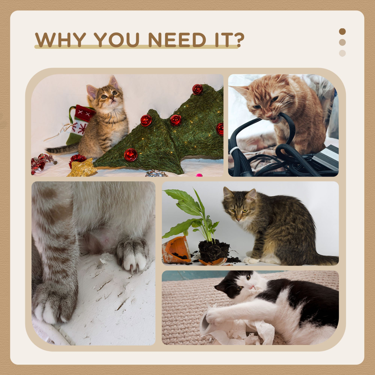 Cat Scratcher with Sisal Mat, Plush Bed & Feather Toy
