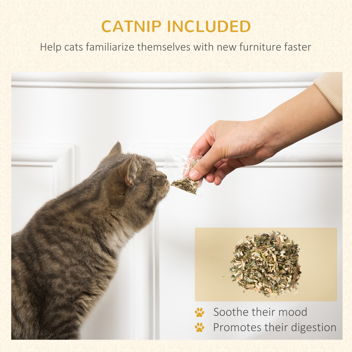 The Scratch Cottage Cat Playhouse