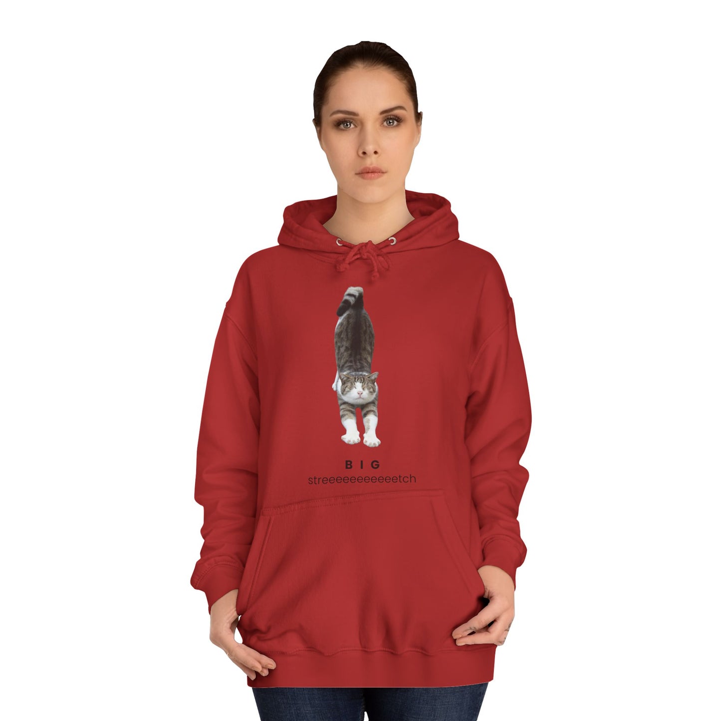 Big Stretch Cat Hoodie