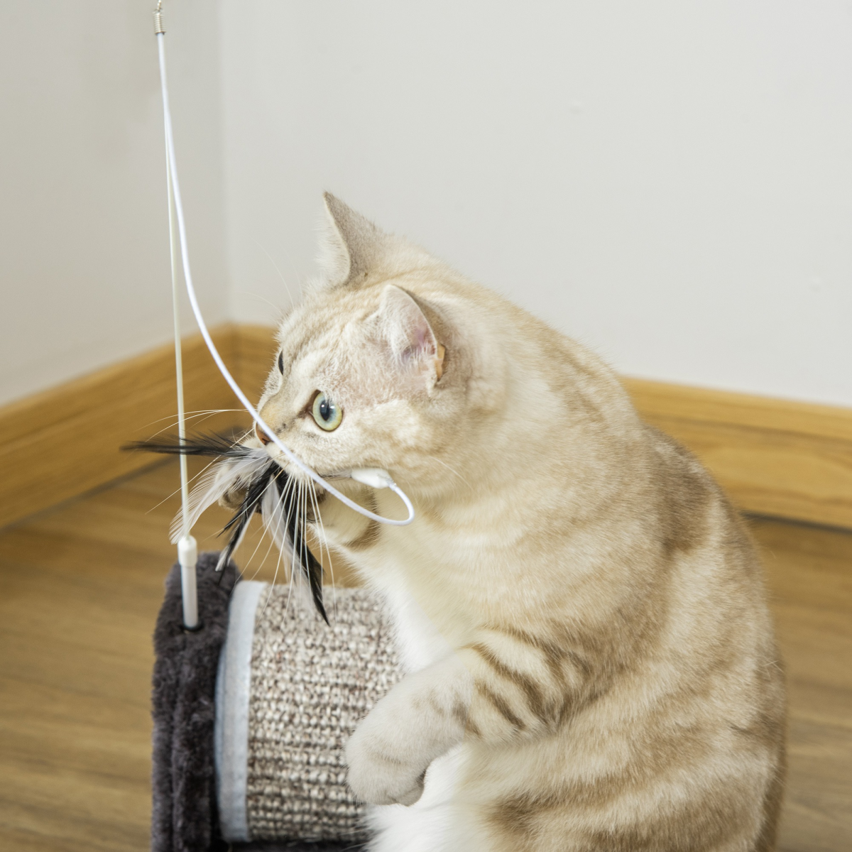 Cat Scratcher with Sisal Mat, Plush Bed & Feather Toy