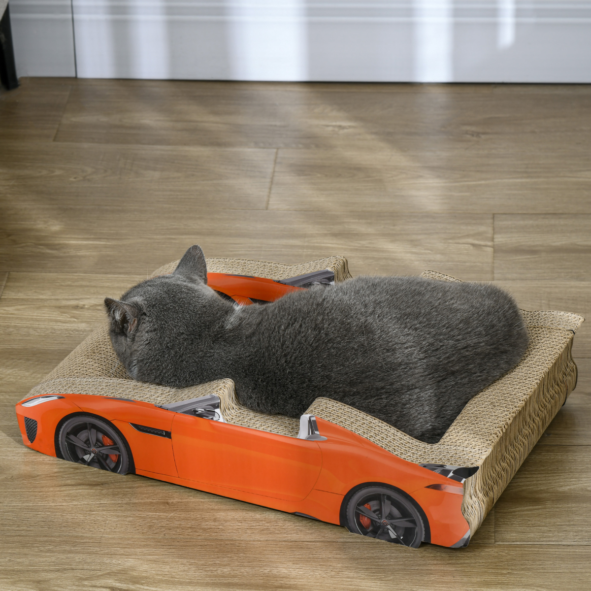 Cat Scratcher Race Car