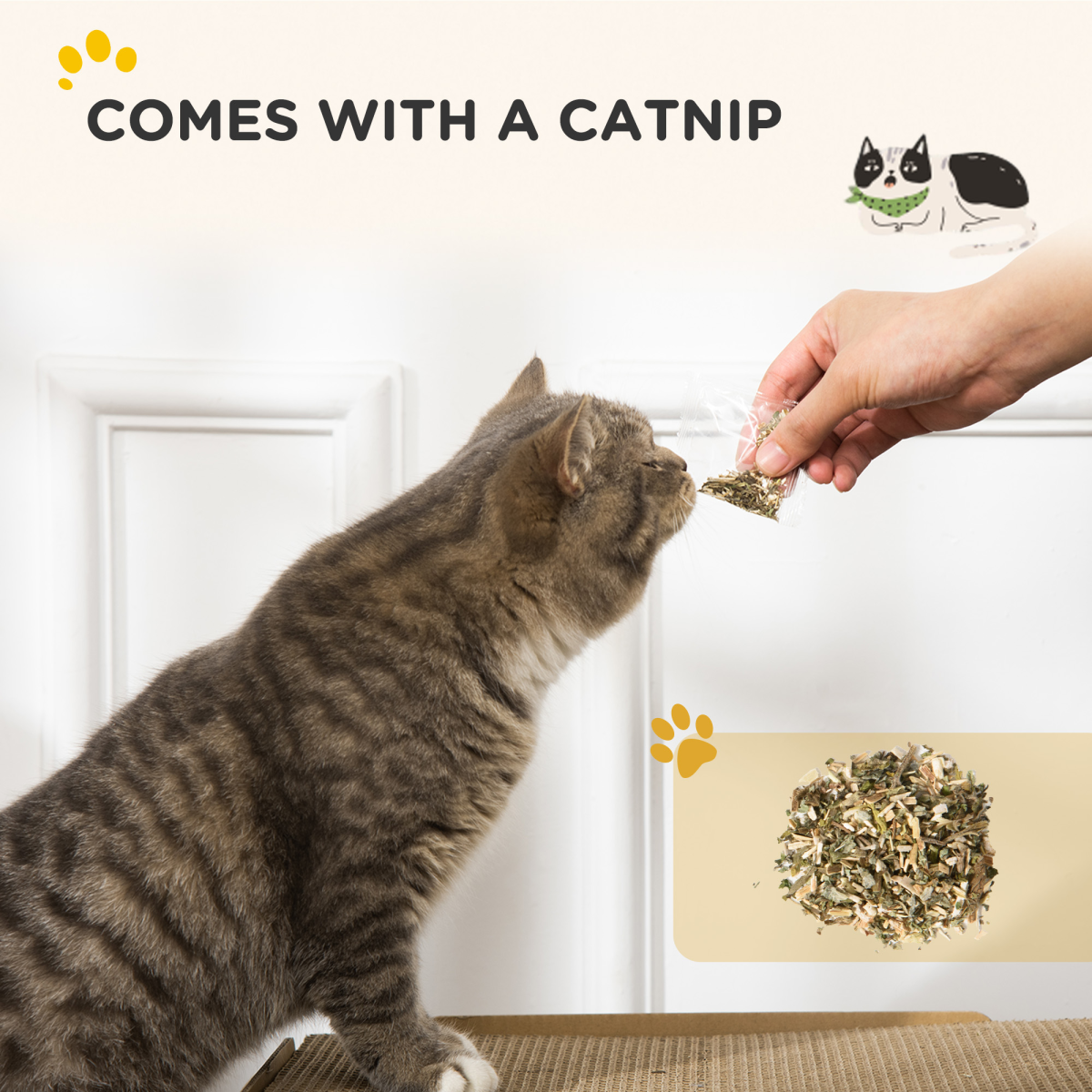 Funny Cat Scratcher Radio Bed & Scratcher