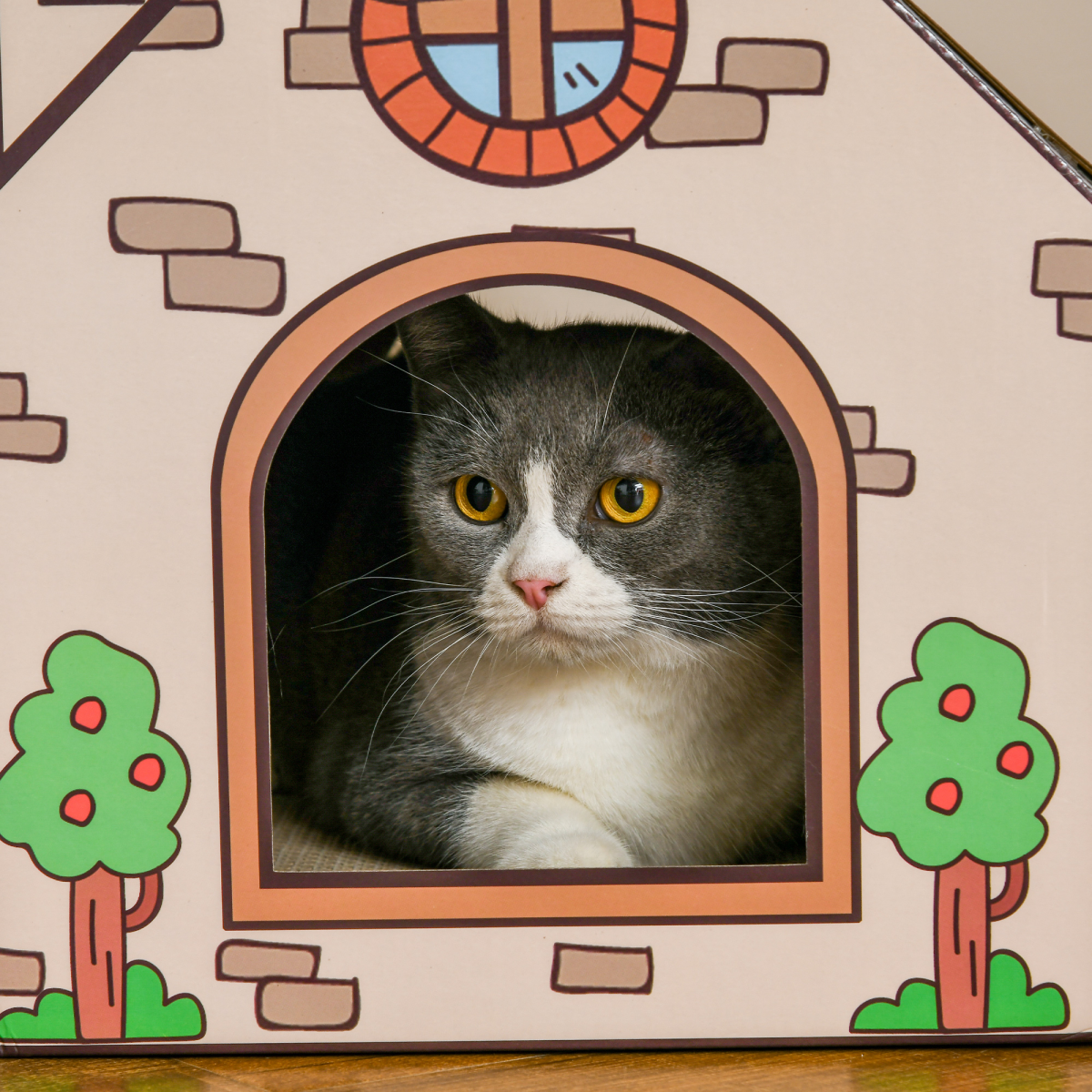 The Scratch Cottage Cat Playhouse