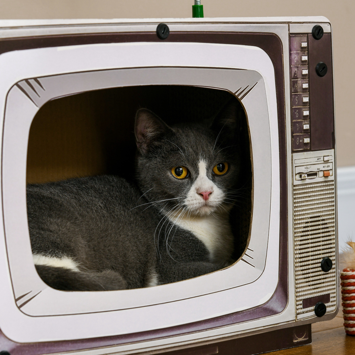 Retro TV Cat House & Scratcher