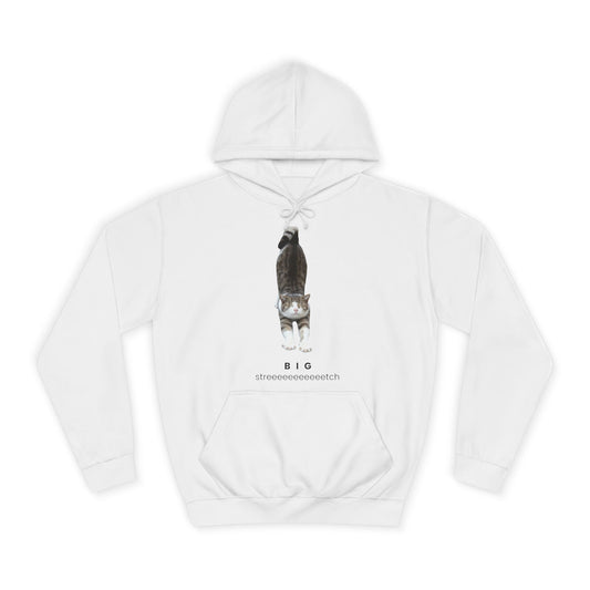 Big Stretch Cat Hoodie