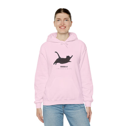 Ekekek Cat Hoodie