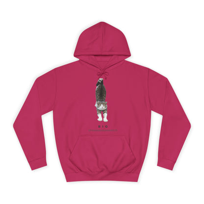 Big Stretch Cat Hoodie
