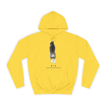 Big Stretch Cat Hoodie