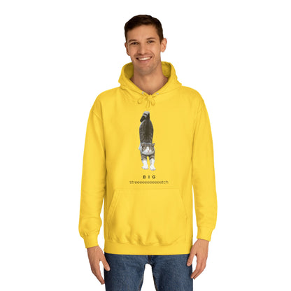 Big Stretch Cat Hoodie