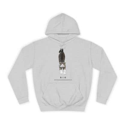 Big Stretch Cat Hoodie