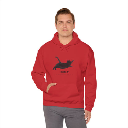 Ekekek Cat Hoodie