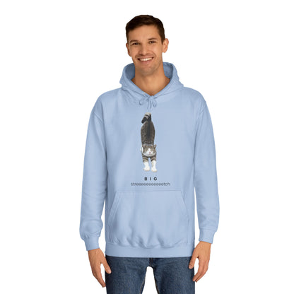 Big Stretch Cat Hoodie