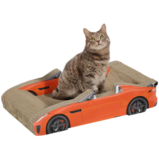 Cat Scratcher Race Car